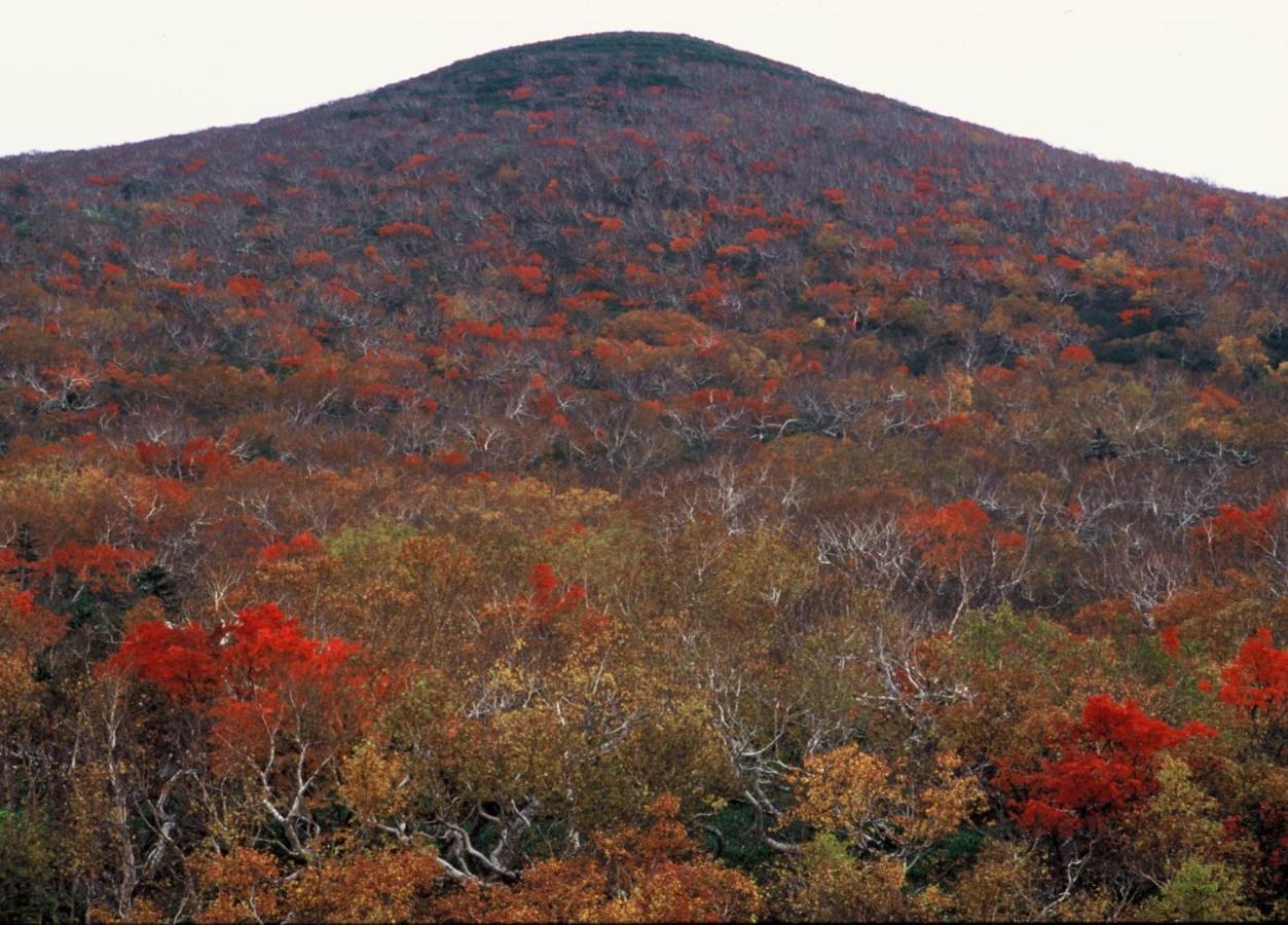Ny Building 4Th Floor, Guest House Ichibangai, Roo / Vacation Stay 55905 Kitami Exterior photo